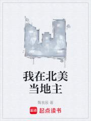 我在北美当地主