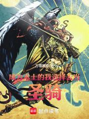 成为术士的我选择去当圣骑！